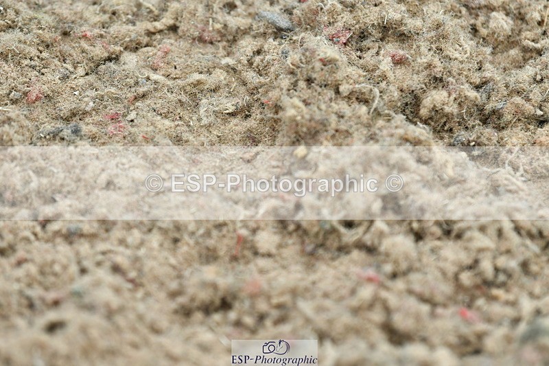 230611A-103914-04960 - Cls 26 Discovery 2nd R