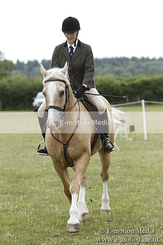 BVR160717-421 - Ring 3 BVRC Show 16/07/17