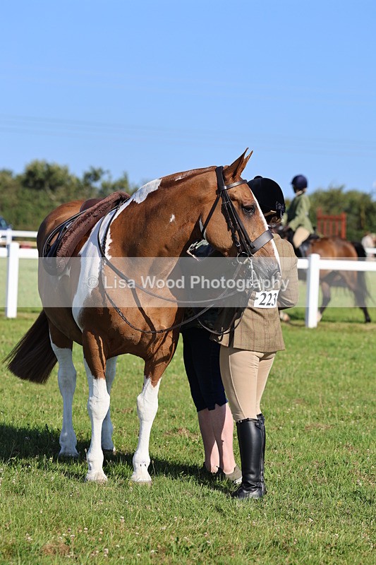 IMG_1450 - Class 29:  Ridden Native/Trad Coloured Horse
