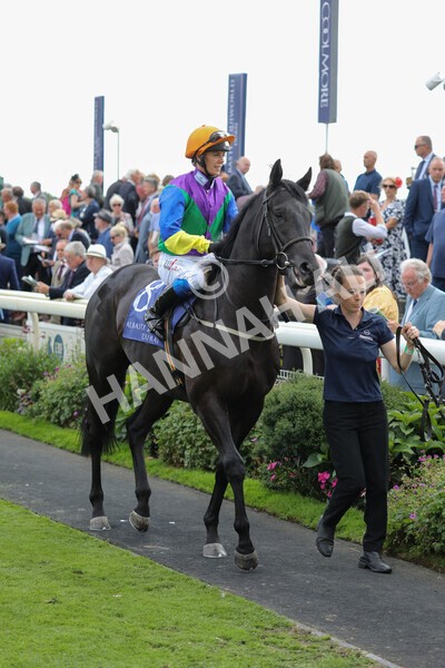 yr19082022r3-9 - Race 3 3.00pm Al Basti Equiworld Dubai Gimcrack Stakes