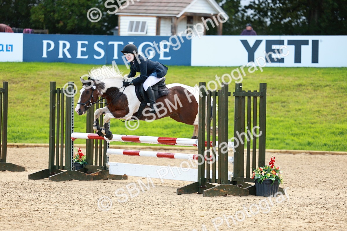 SBM_37750 - J39 - Senior Horse & Pony 85cm Championship