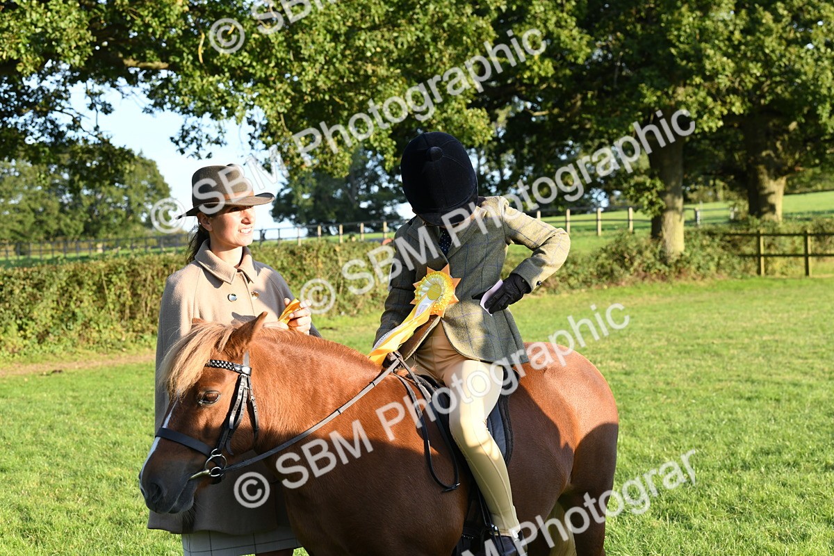 SBM_54159 - S23 - 1st Ridden Mountain & Moorland Pony