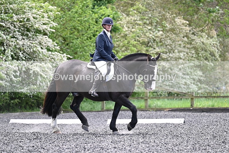 WJ7_9017 - Time 11:32 to 11:54