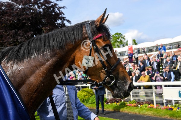 170523-Race 4-Soul Sister-0445 - Race 4 3.35pm Tattersalls Musidora Stakes