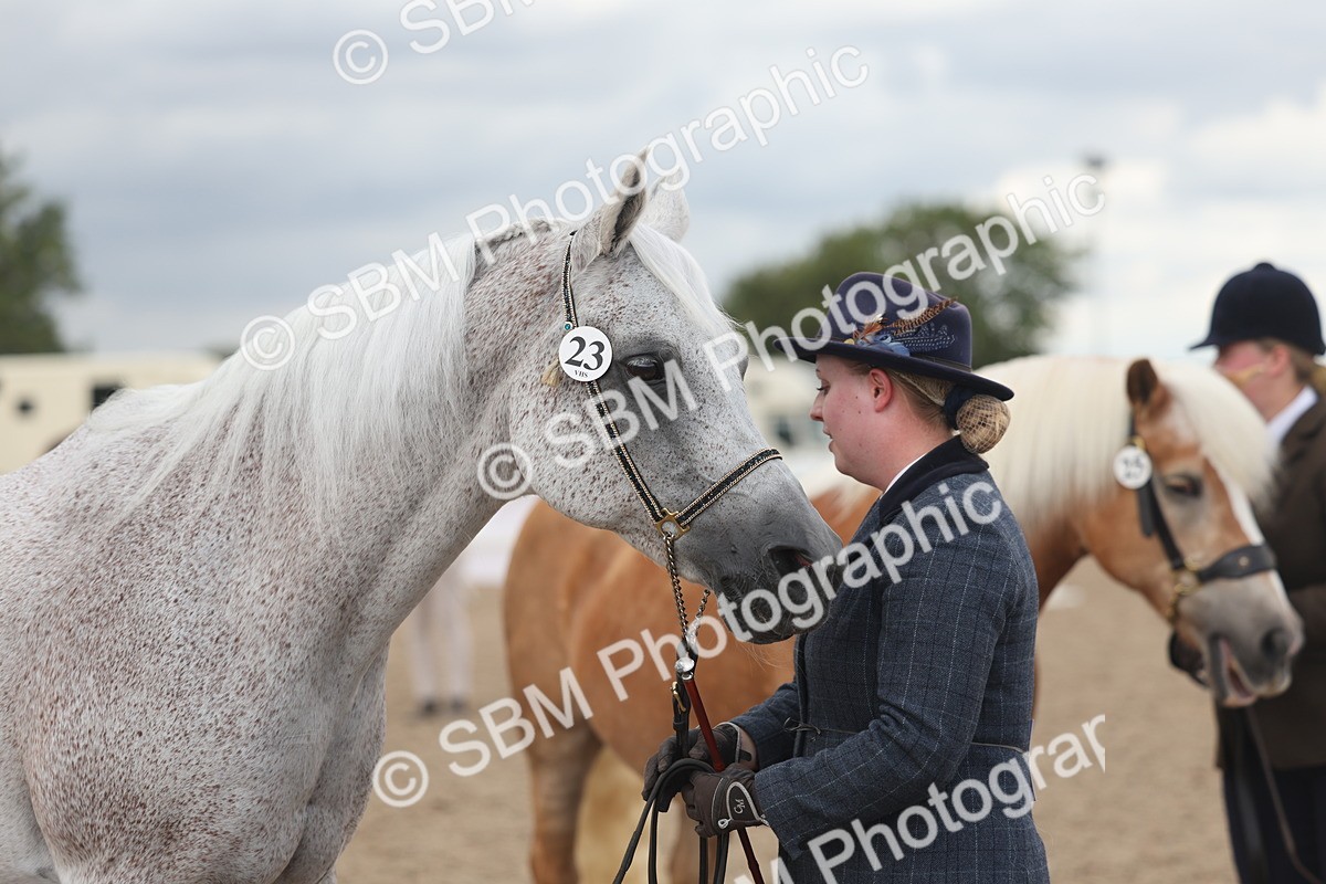 SBM_06904 - Class 25 - IH Foreign Breeds - Purebred