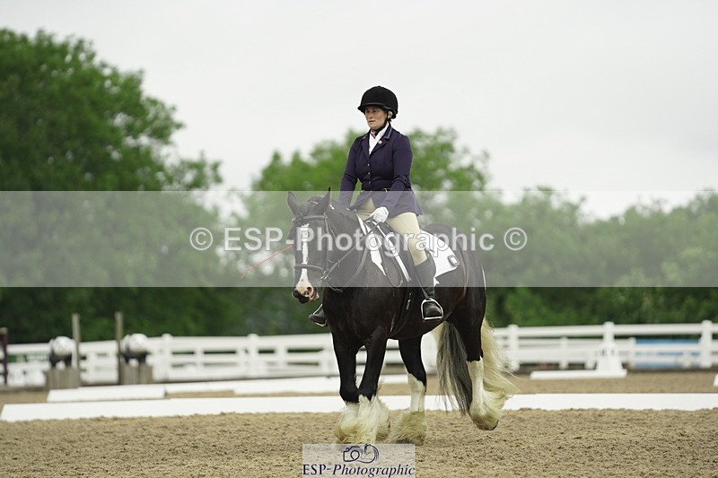 230708A-100146-00274 - Intro C