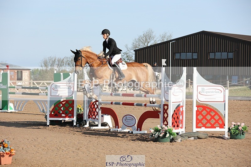 250427-083005-14490 - Cls 28 Young Horse 5yr old