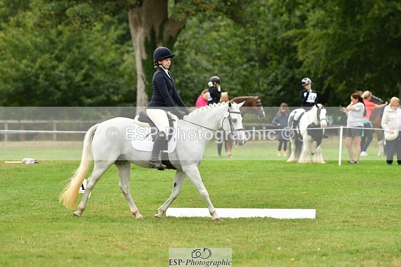 250820A-121947-05565 - 12 to 13.00