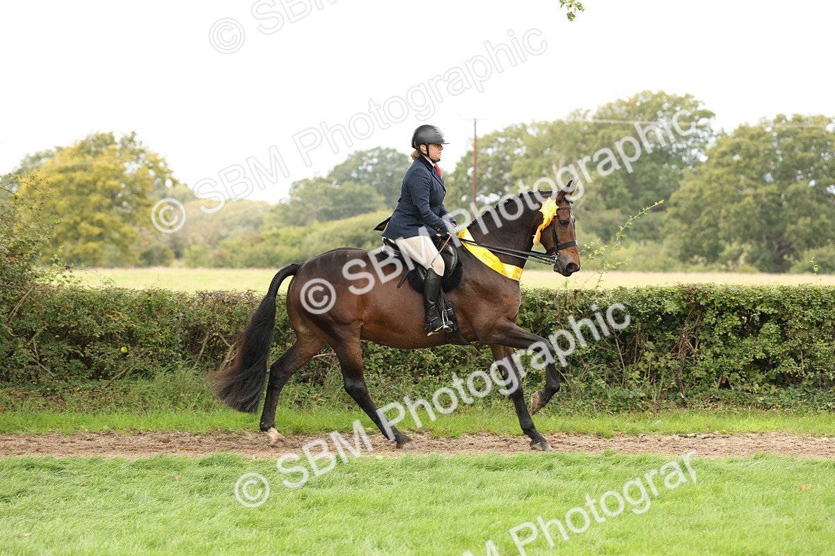 SBM_66415 - S66 - Hunter Ridden