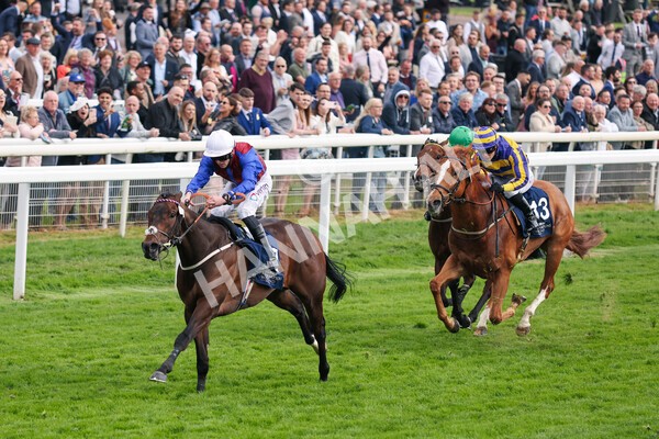 yr13052022r7-38 - Race 7 5.15pm Longines Irish Champions Weekend Stakes