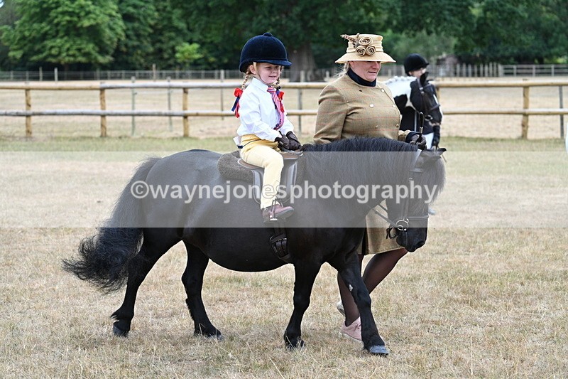 WJ7_8466 - Class 4 Prettiest Mare up to 14.2hh