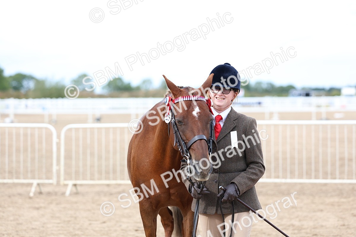 SBM_05898 - Class 29 - IH Veteran Pony