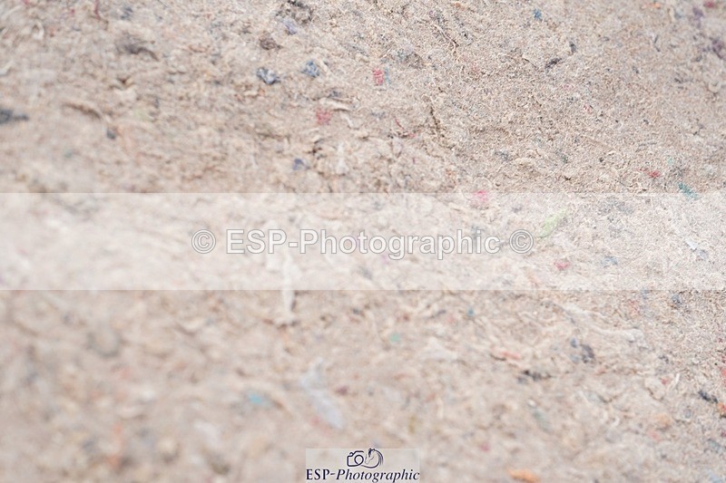 250425-095808-08410 - Cls 30 Young Horse 6yr old