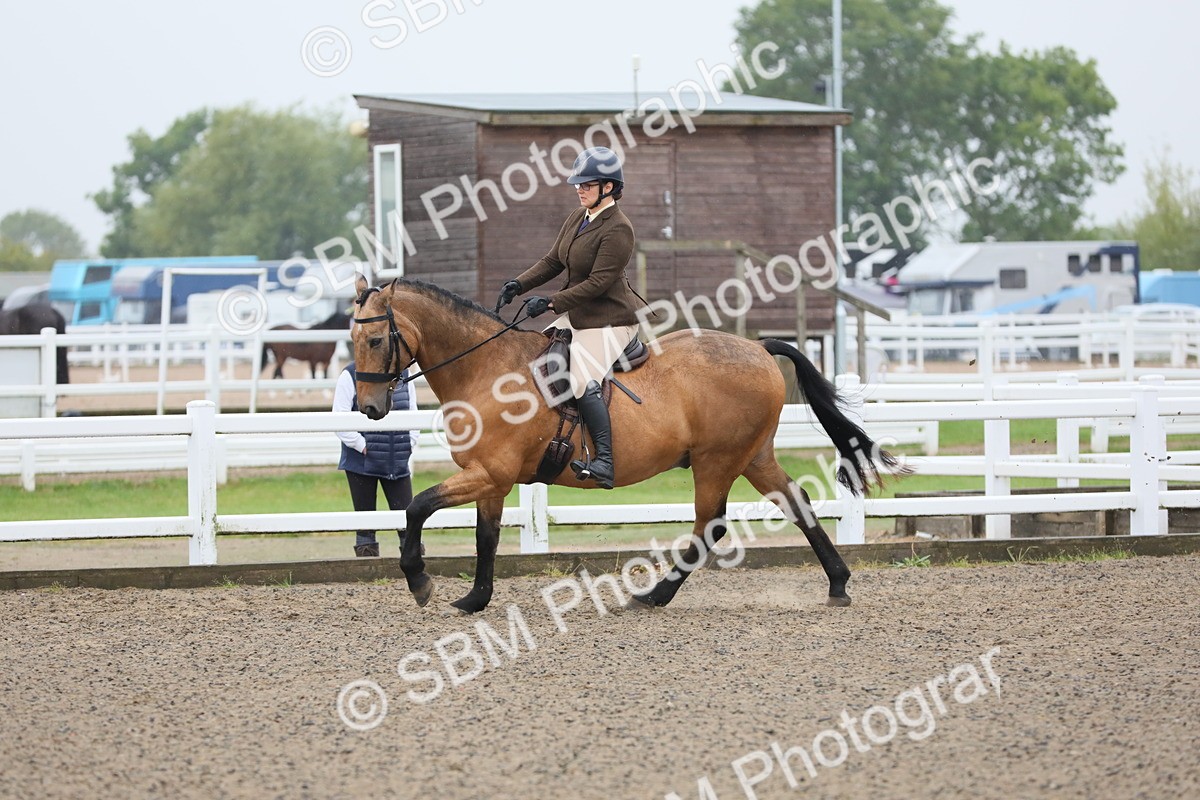 SBM_19911 - Class 801 - Ridden Veteran