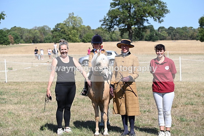 WJ6_8130 - Class 36 Lead Rein