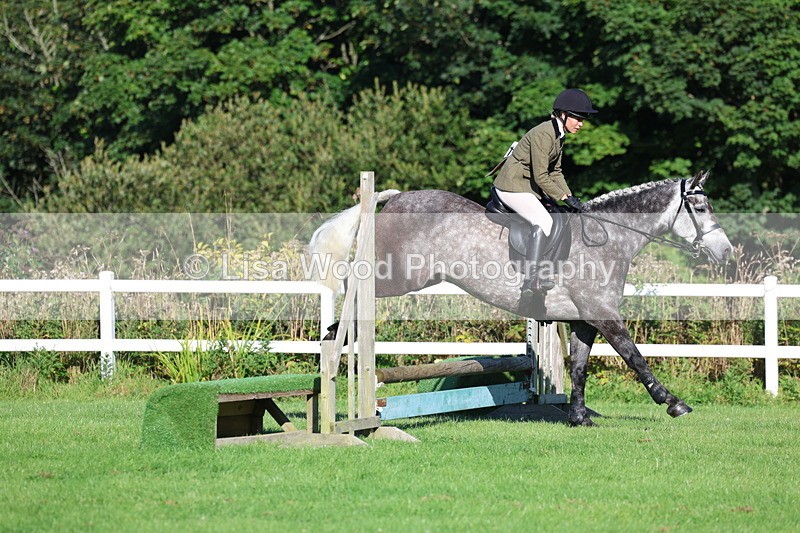 3E7A7536 - Class 1: Novice Working Hunter Pony