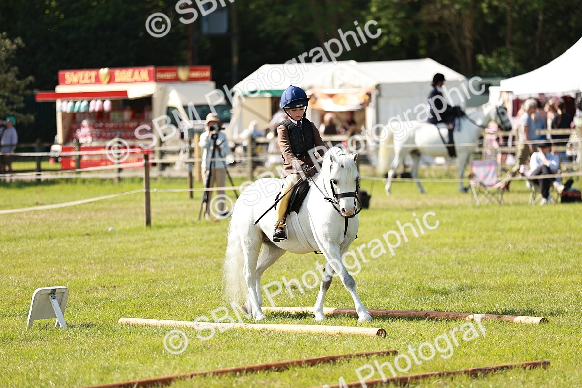 SBM_12634 - Class 106-107 - BSPS LIHS Working Sports Pony