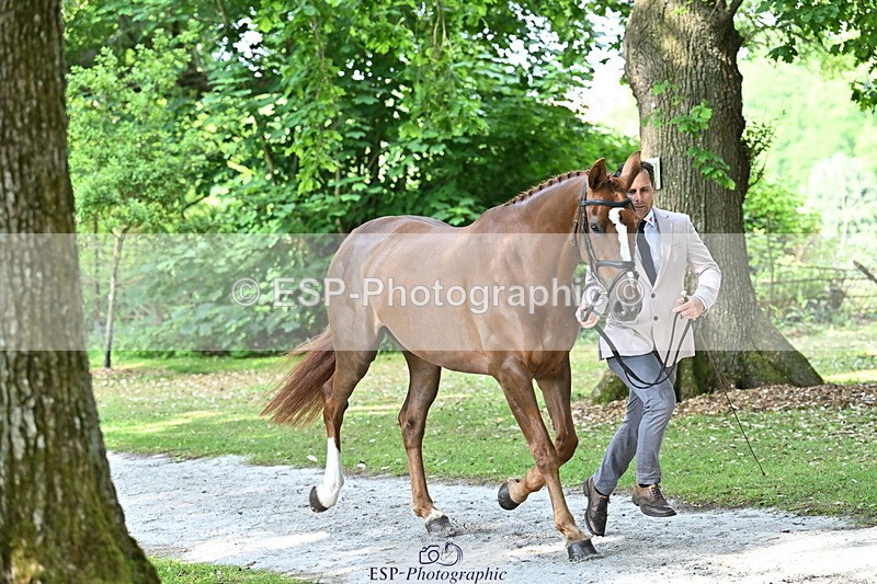 250521A-164152-01285 - C-254-Alexander.Bragg-SHANNONDALE.ARVA