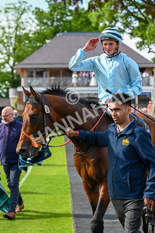 230526-Race 6-Pearl River-7881 - Race 6 16.25pm Royal Yorkshire Regiment Handicap