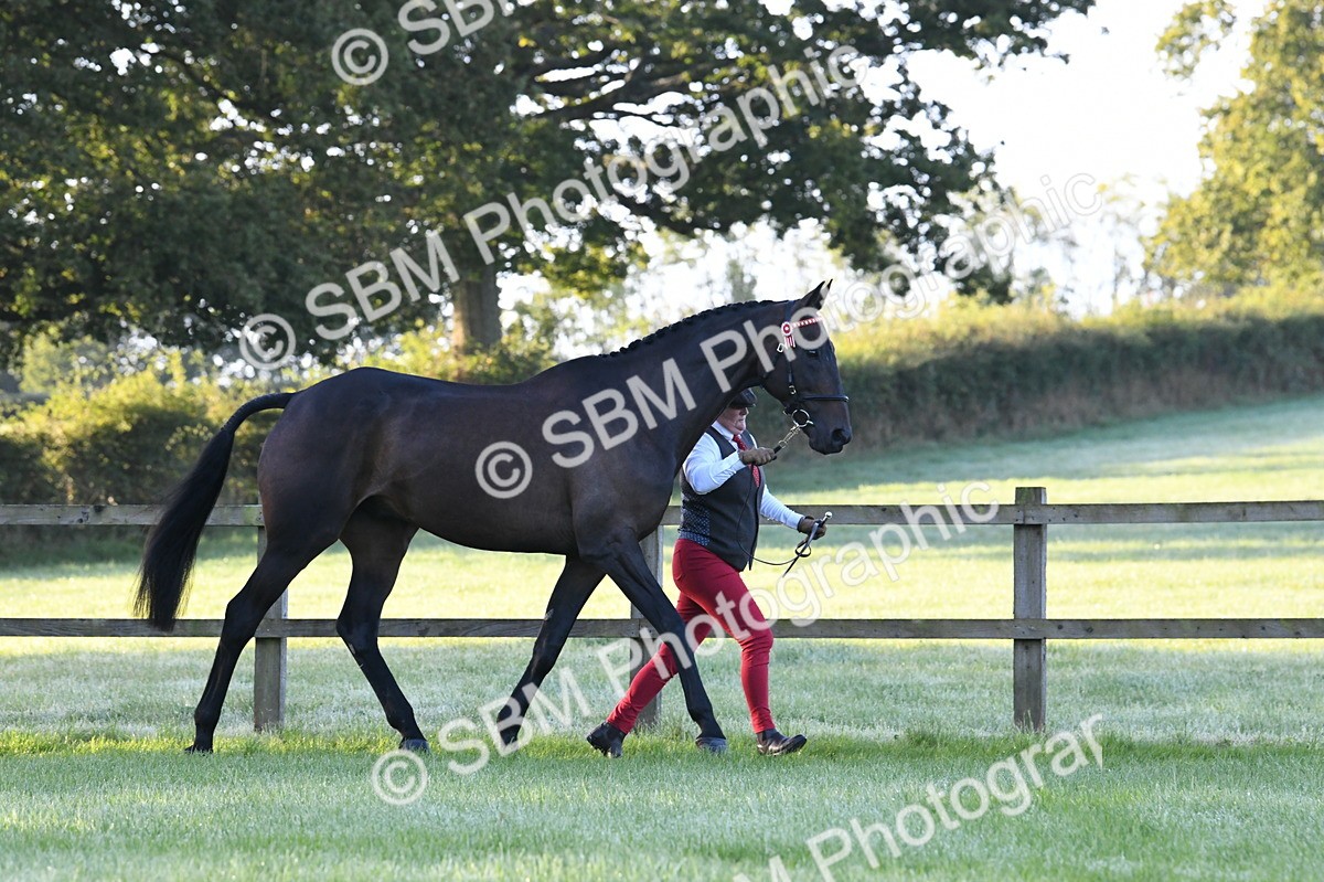 SBM_32502 - S15 - Condition & Turnout In Hand