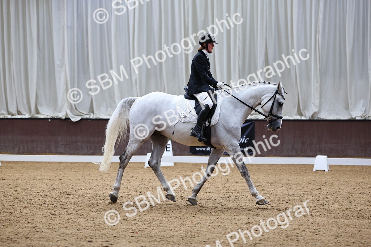 SBM_003956 - Novice 2
