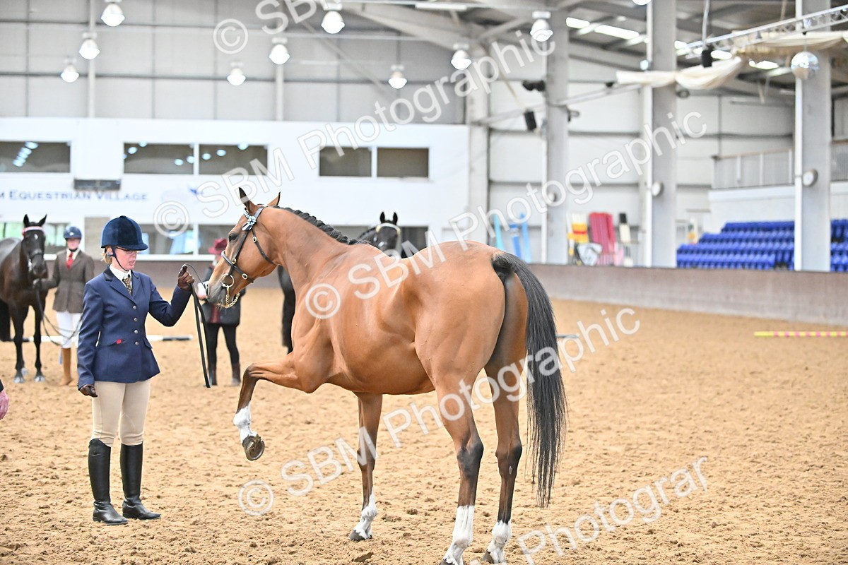 SBM_000247 - Class 7 - ROR Tattersalls In Hand