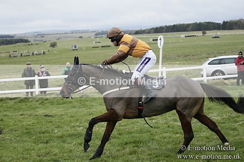 PtP 031217 178 - Hursley Hambledon Point-to-Point Larkhill 03/12/17