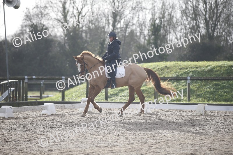 20260127-0335 - Class 16 - BD Novice 2