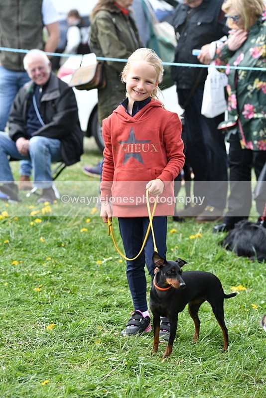 WJ5_0565 - Class 7 Best Terrier