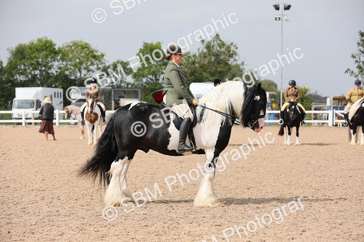SBM_12808 - Class 307 Ridden Coloured Pony