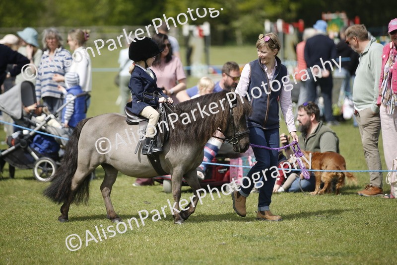 20260426-1818 - Class 7 - Pony Judge Would Most Like To Take Home