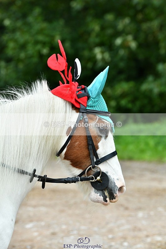 230804A-101255-01877 - Musical Ride