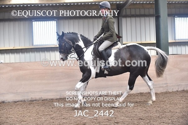 JAC_2442 - CLASS 3 Intermediate Working Hunter