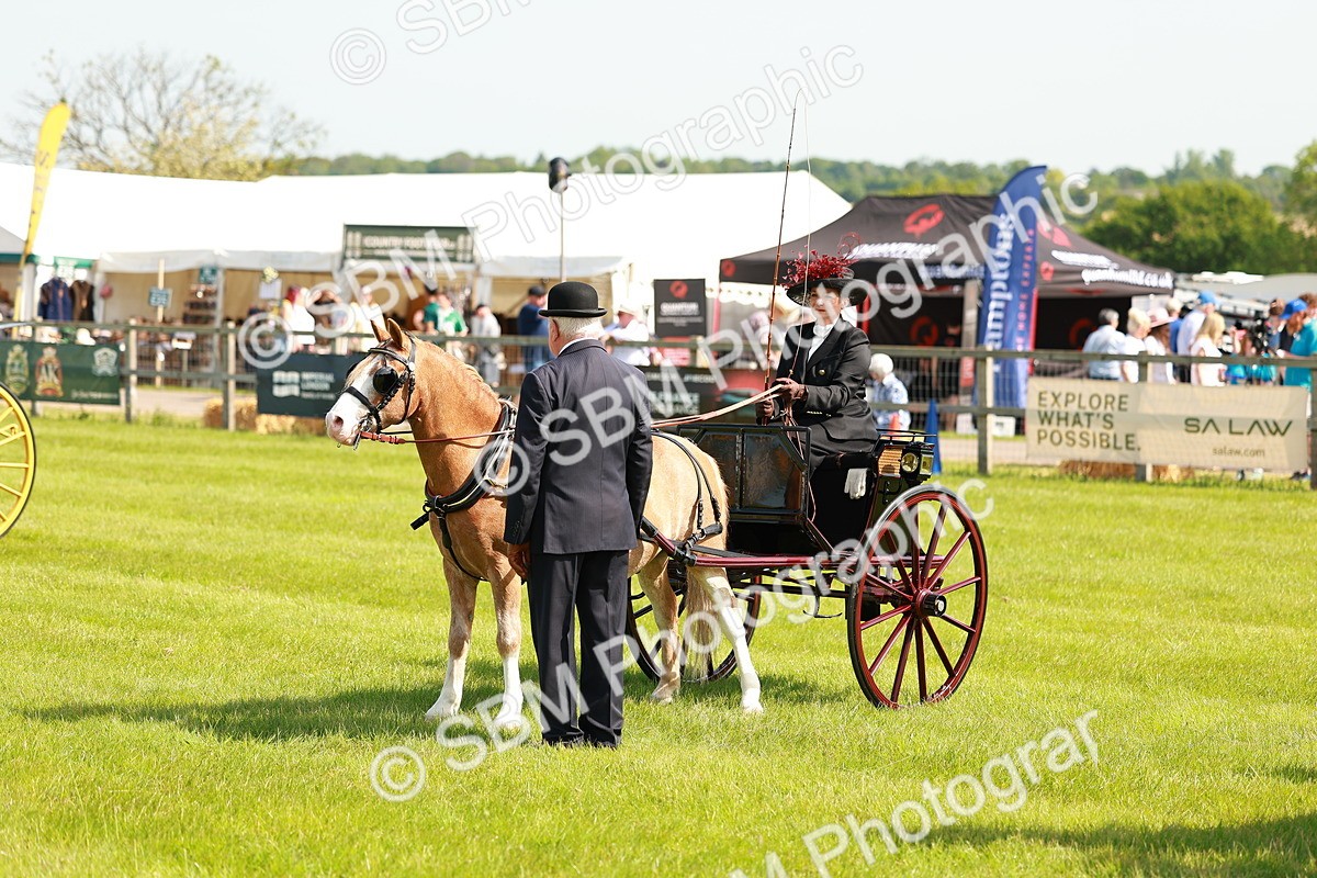 SBM_02643 - Class 2-4 - HOYS Private Driving