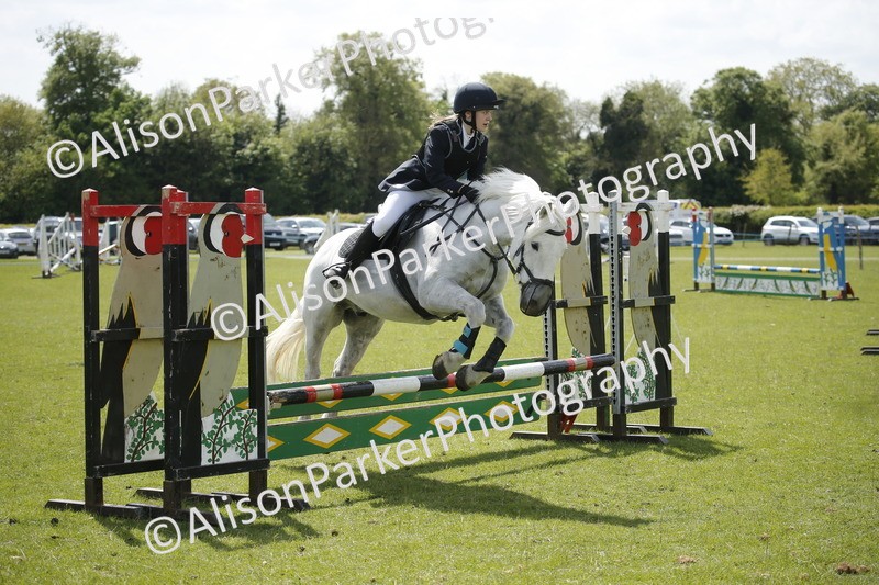20250427-3744 - Class 14 - Absolute Novice 70cm