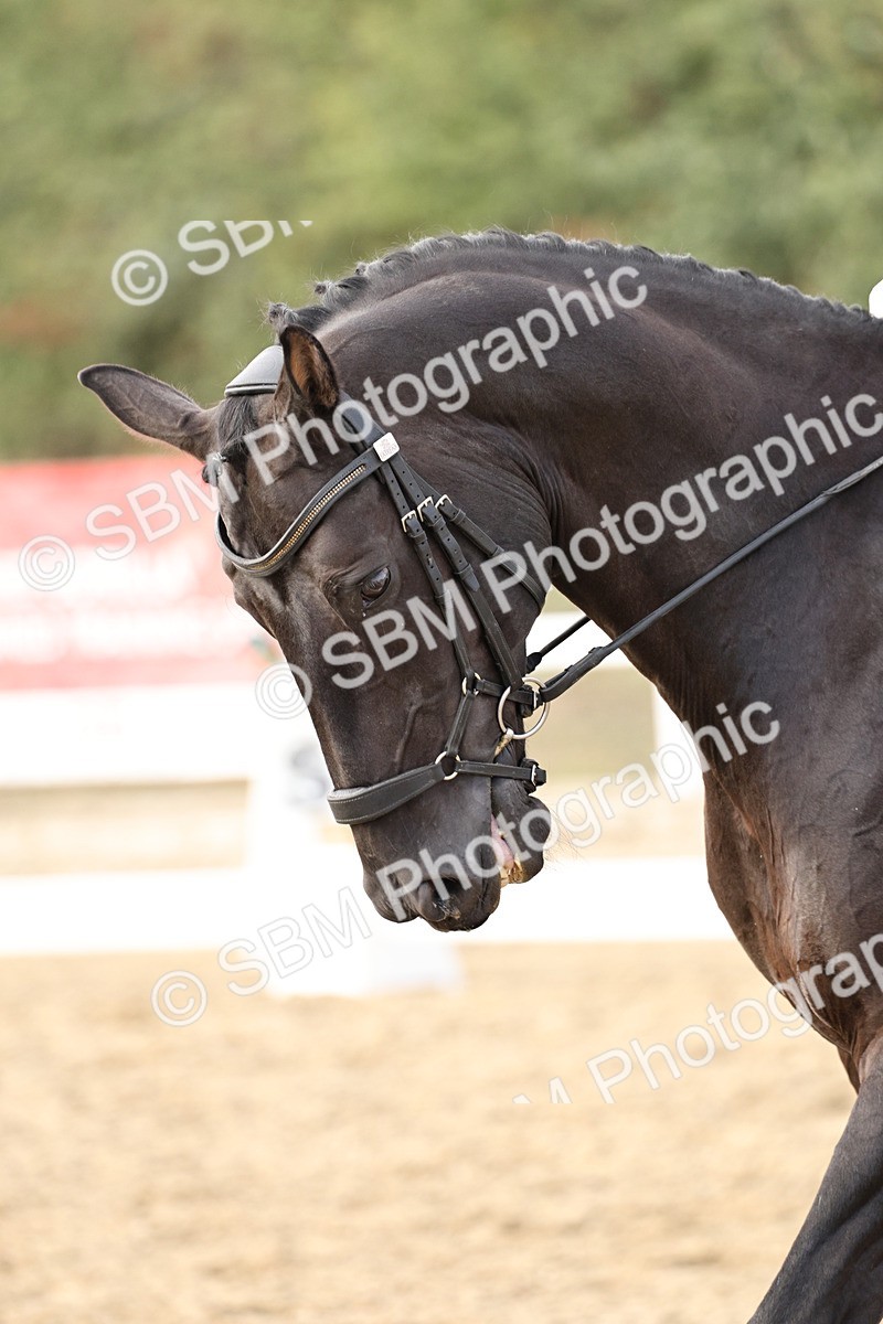 SBM_016275 - Class 10 - Advanced Medium 5