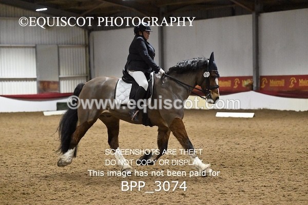 BPP_3074 - ELEM TEST 6