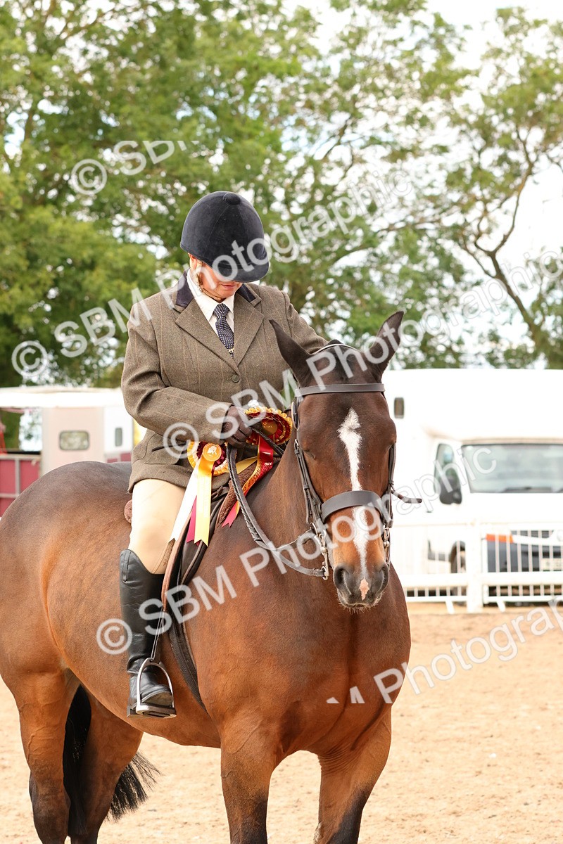SBM_15596 - Class 214 - Ridden Show Cob