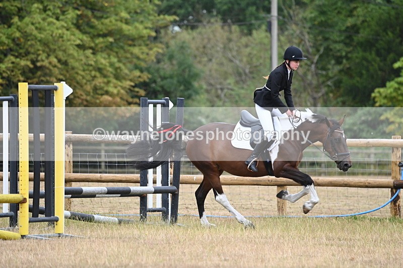 WJ6_0037 - Class 13 Novice Jumping 60cm