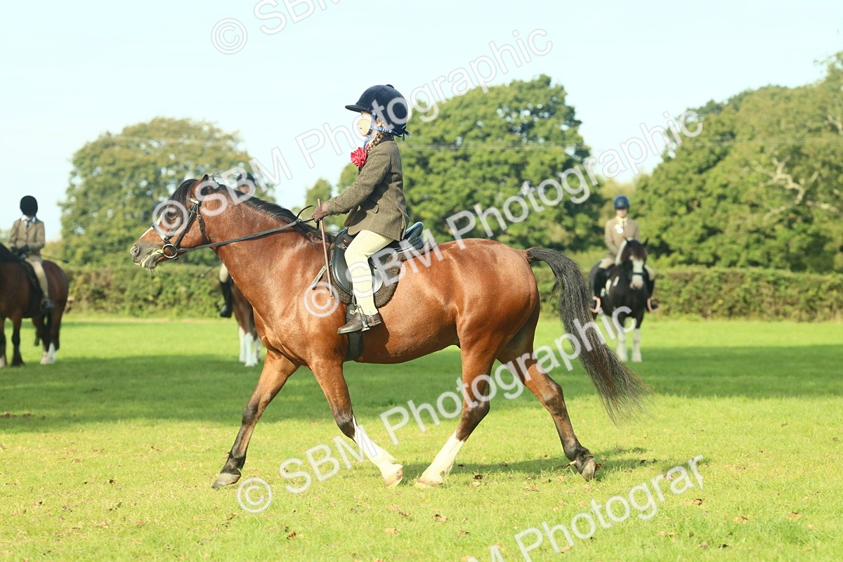 SBM_59932 - S38 - Starters Ridden Showing