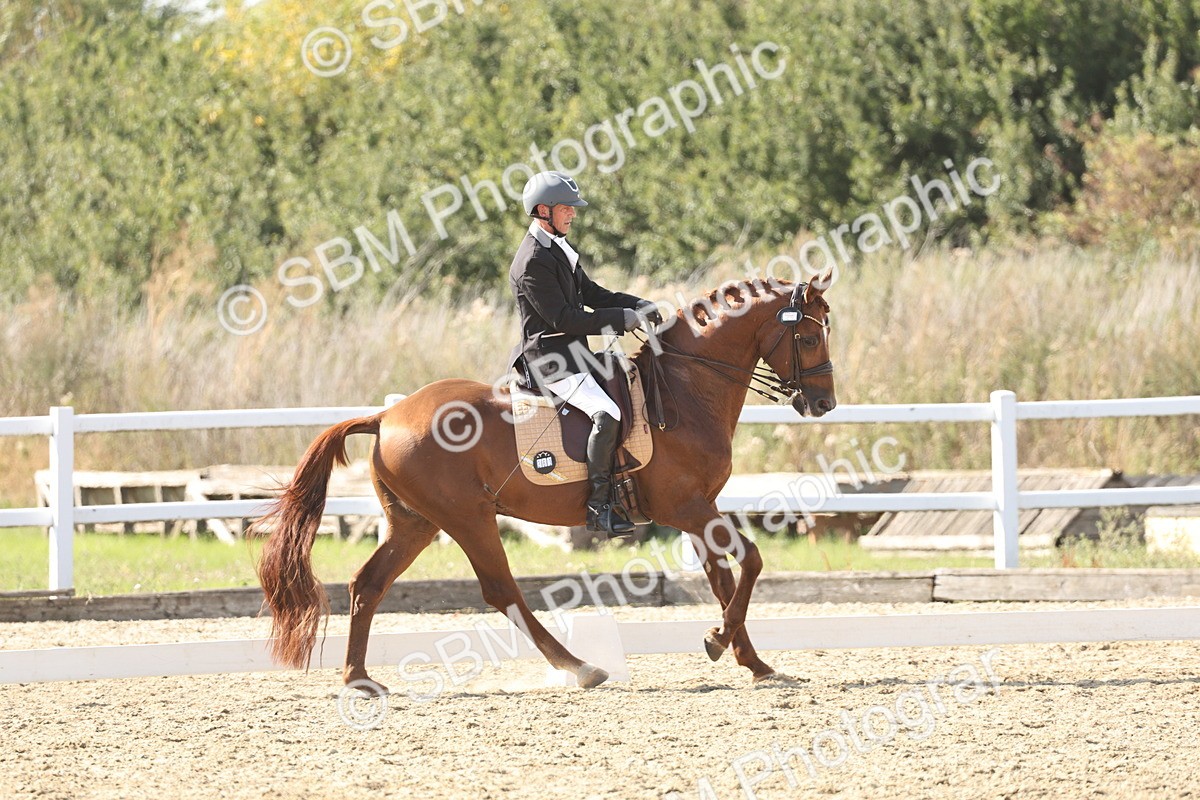 SBM_015379 - Class 9 - Advanced medium 3