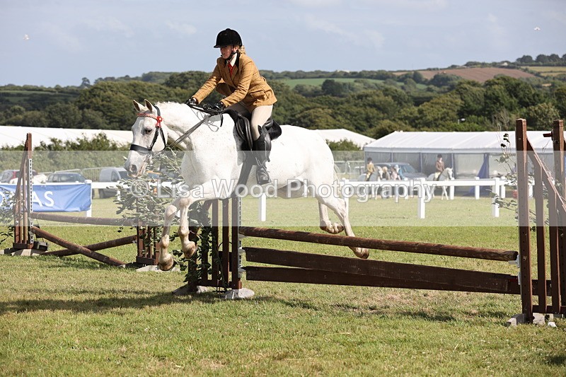 JPP_2504 - Class 20: Working Hunter 70cm