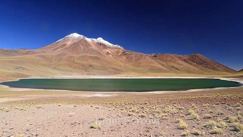 Laguna Miniques & Volcan Miniques, Atacama Desert, Chile - Chile