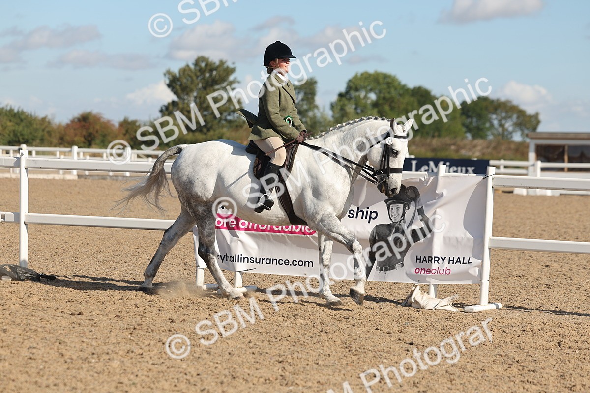 SBM_12444 - Class 304 - Ridden part Bred Horse Pony