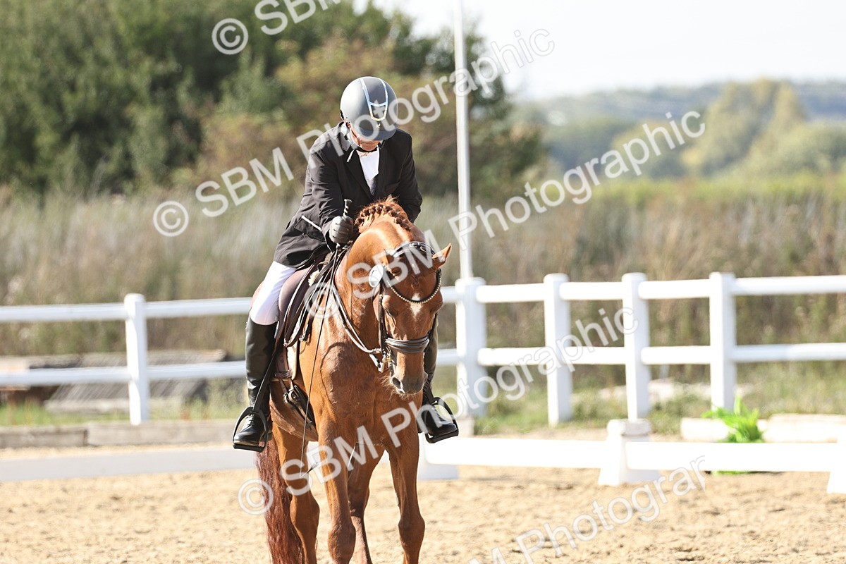 SBM_015384 - Class 9 - Advanced medium 3