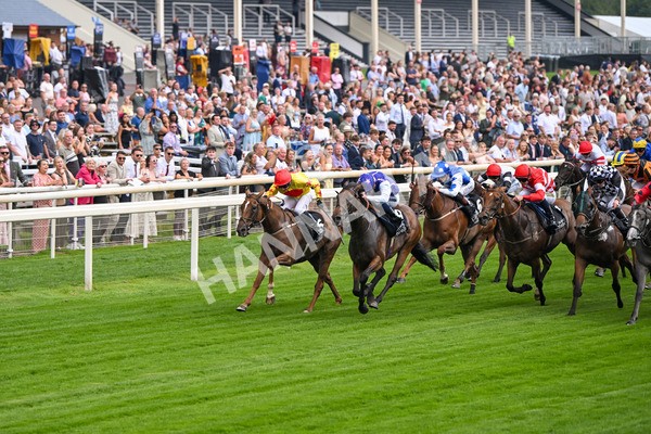 250725-Race 1-Pressures On - Quest For Fun-5332 - Race 1 5.30pm eventmasters.co.uk Handicap