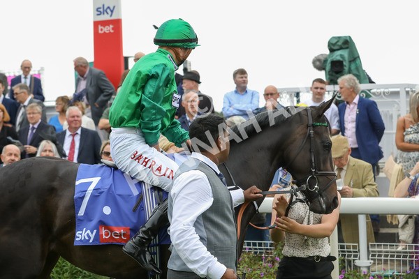 240823-Race 1-Relief Rally-5007 - Race 1 1.50pm Sky Bet Lowther Stakes