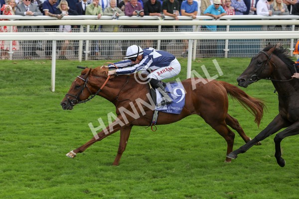 250823-Race 3-Lake Forest-5851 - Race 3 3.00pm Al Basti Equiworld Dubai Gimcrack Stakes