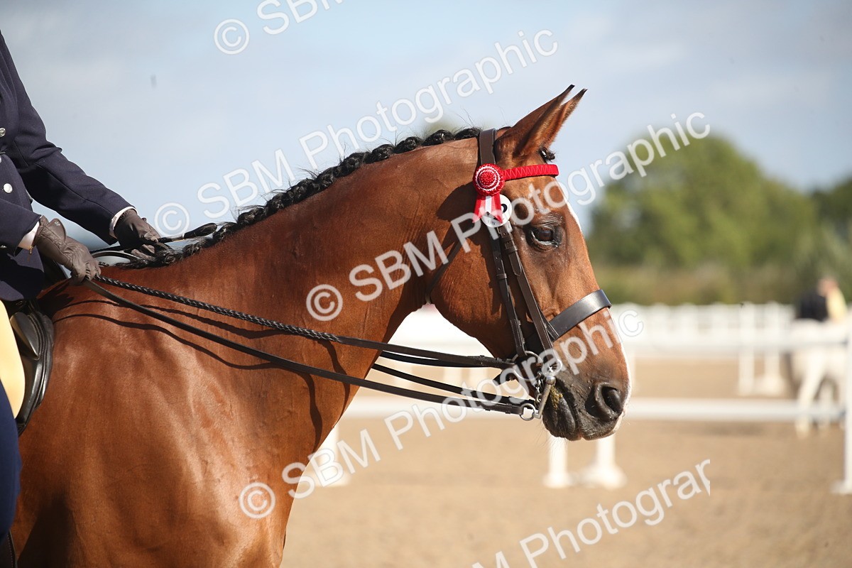 SBM_22811 - Class 602 - 2026 Area - Ridden Veteran