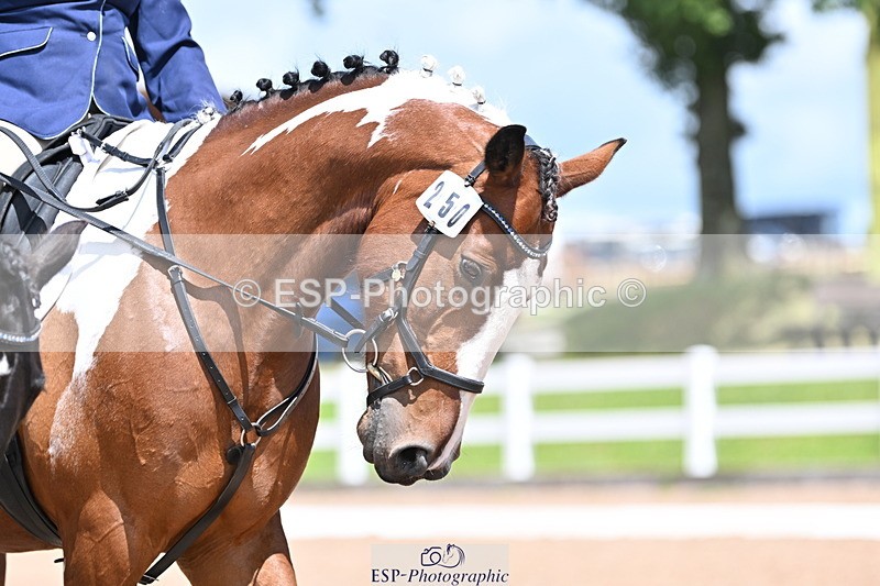 240706A-140406-03131 - Cls 7 Pairs